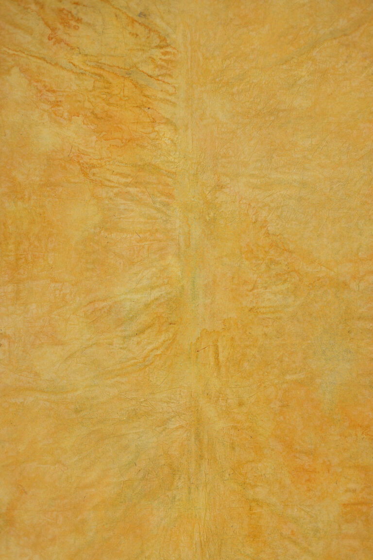 Mac And Cheese Painted Canvas Backdrop (DB#45)