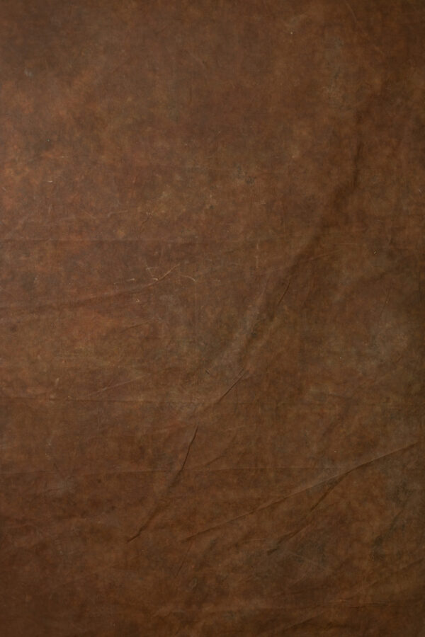 Metallic Bronze Painted Canvas Backdrop (DB#104)