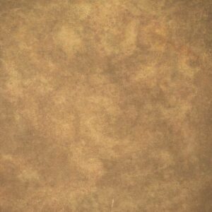 Old Copper Painted Canvas Backdrop (RN#08)