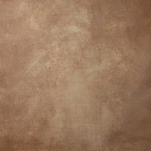 Pale Taupe Painted Canvas Backdrop (DB#106)