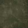 Patch Green Painted Canvas Backdrop (DB#198)