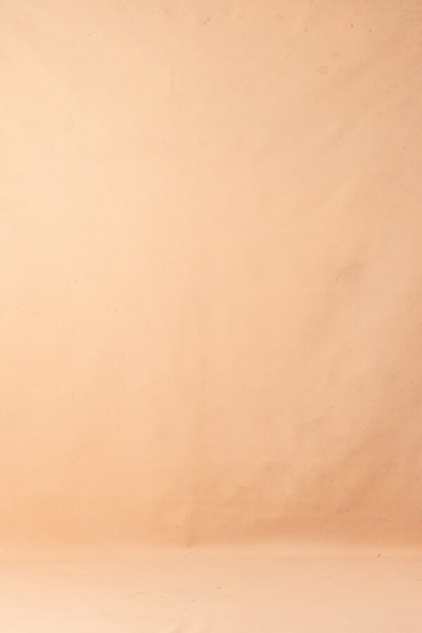 Peach Puff Painted Canvas Backdrop (DB#169)