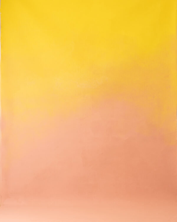 Pinky Yellow Painted Canvas Backdrop (RN#305)