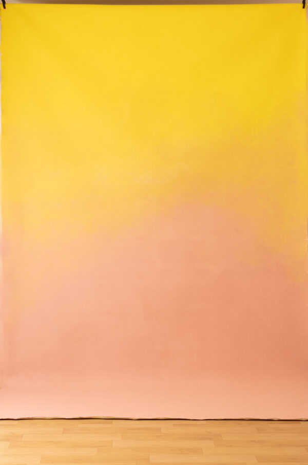 Pinky Yellow Painted Canvas Backdrop (RN#305)