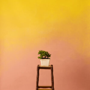 Pinky Yellow Painted Canvas Backdrop (RN#305)
