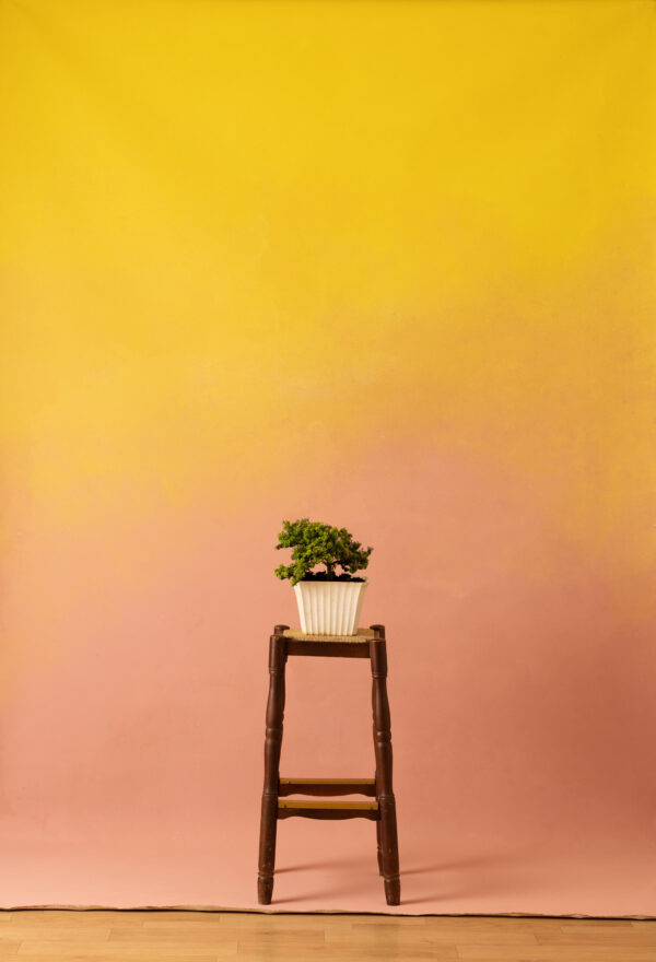 Pinky Yellow Painted Canvas Backdrop (RN#305)