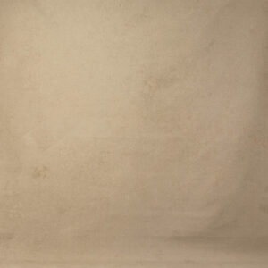 Potter Gold Painted Canvas Backdrop (DB#53)