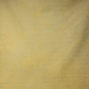 Serene Cream Painted Canvas Backdrop (DB#168)