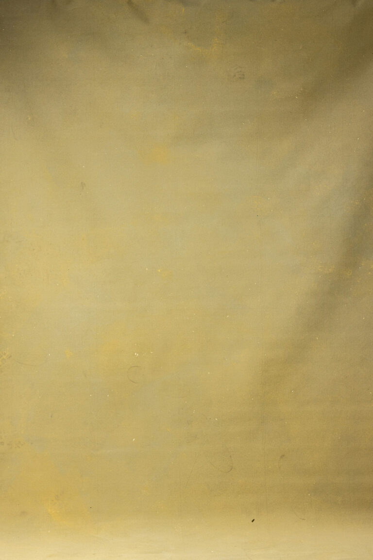 Serene Cream Painted Canvas Backdrop (DB#168)