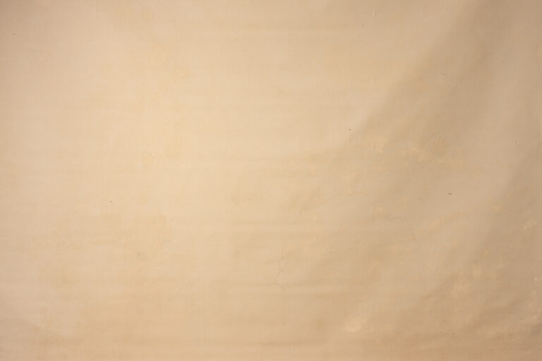 Submlime Cream Painted Canvas Backdrop (DB#146)