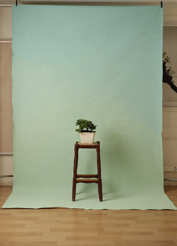 Sweet Mint Painted Canvas Backdrop (RN#304)