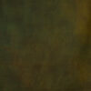 Thatch Green Painted Canvas Backdrop (DB#126)