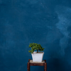 Tuna Blue Painted Canvas Backdrop (RN#278)