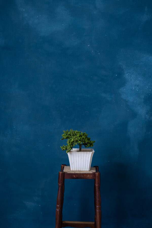 Tuna Blue Painted Canvas Backdrop (RN#278)