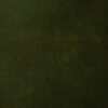 Zeus Olive Painted Canvas Backdrop (DB#143)