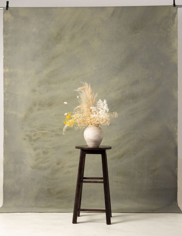 Pale Oyster Painted Canvas Backdrop (RN#237)