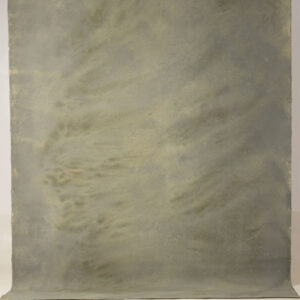 Pale Oyster Painted Canvas Backdrop (RN#237)