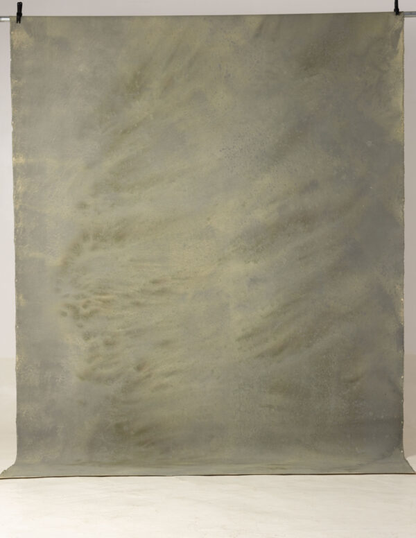 Pale Oyster Painted Canvas Backdrop (RN#237)