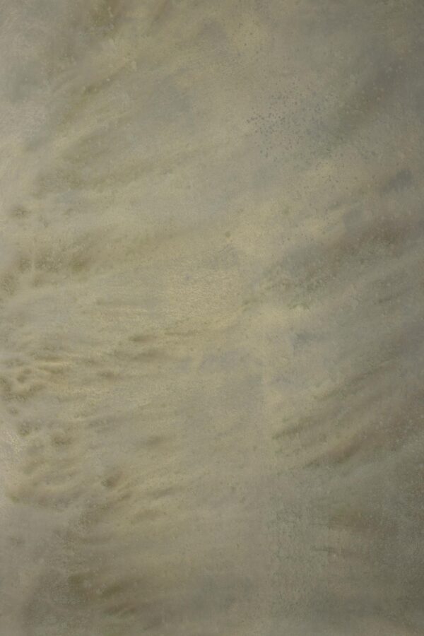 Pale Oyster Painted Canvas Backdrop (RN#237)