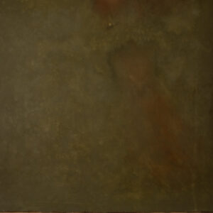 Red Head Green Painted Canvas Backdrop (RN#319)