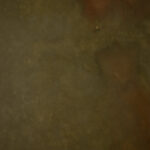 Red Head Green Painted Canvas Backdrop (RN#319)