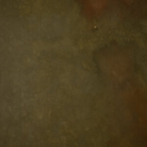 Red Head Green Painted Canvas Backdrop (RN#319)