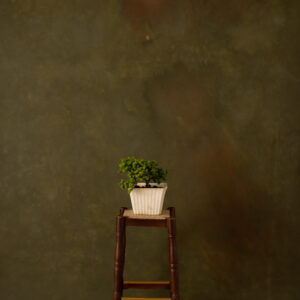 Red Head Green Painted Canvas Backdrop (RN#319)