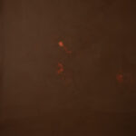 Red Head Green Painted Canvas Backdrop (RN#319)