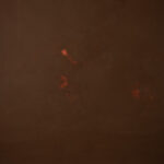 Red Head Green Painted Canvas Backdrop (RN#319)