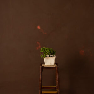 Red Head Green Painted Canvas Backdrop (RN#319)