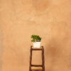 Fiery Orange Burn Painted Canvas Backdrop (RN#334)