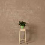 Ivory Painted Canvas Backdrop (RN#333) - 1