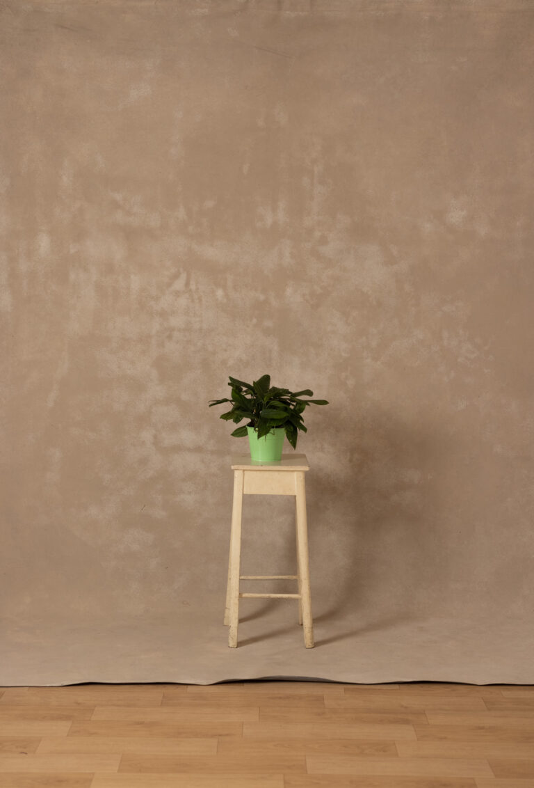 Ivory Painted Canvas Backdrop (RN#333) - 1