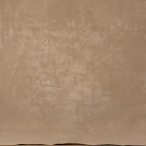 Ivory Painted Canvas Backdrop (RN#333) - 2