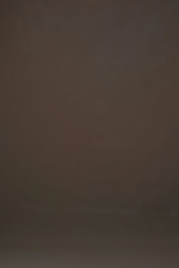 Peachy Browners Painted Canvas Backdrop (RN#340)