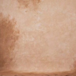 Peachy Browners Painted Canvas Backdrop (RN#340)