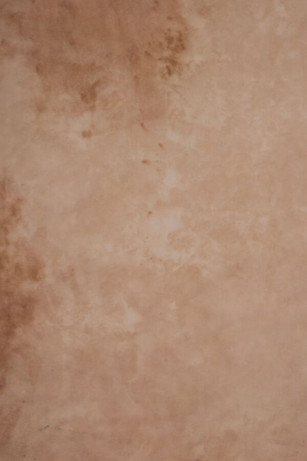 Peachy Browners Painted Canvas Backdrop (RN#340)