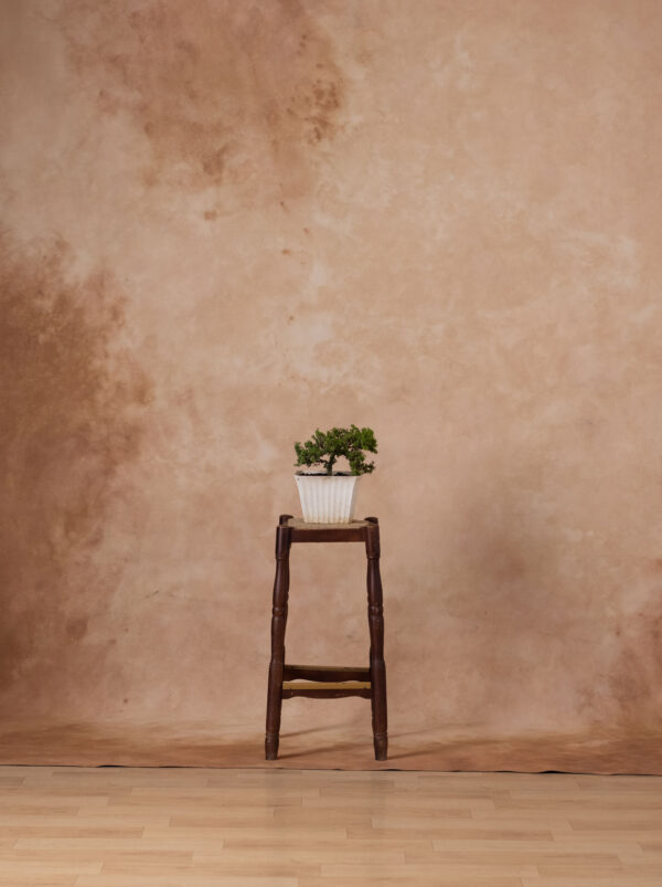 Peachy Browners Painted Canvas Backdrop (RN#340)