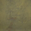 Green distressed and grey Painted Canvas Backdrop (RN#343)