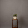 Green distressed and grey Painted Canvas Backdrop (RN#343)