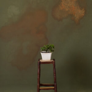 Olive Green Painted Canvas Backdrop (RN#341)