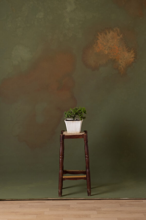 Olive Green Painted Canvas Backdrop (RN#341)