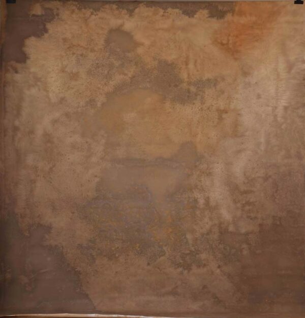 Mocha Brown Painted Canvas Backdrop (RN#298)