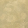 Textured Warm Beige Painted Canvas Backdrop (RN#276)