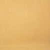 Textured Warm Beige Painted Canvas Backdrop (RN#276)
