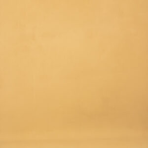 Textured Warm Beige Painted Canvas Backdrop (RN#276)