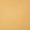 Textured Warm Beige Painted Canvas Backdrop (RN#276)