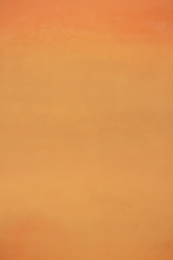 Orange Dreamscape Painted Canvas Backdrop (RN#392)