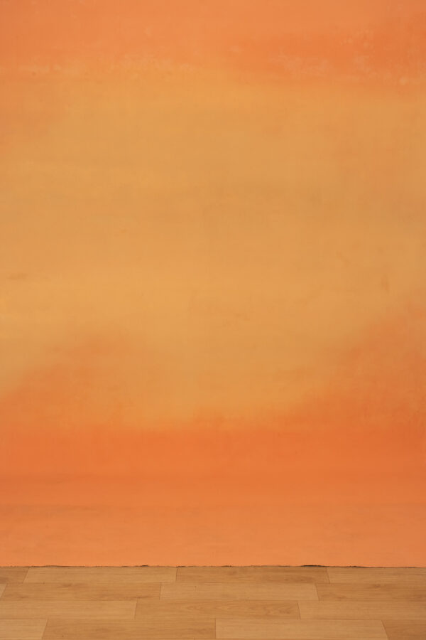 Orange Dreamscape Painted Canvas Backdrop (RN#392)