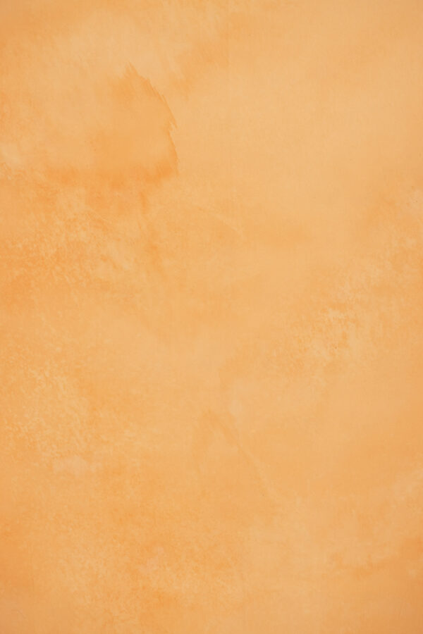 Peach Mirage Painted Canvas Backdrop (RN#393)